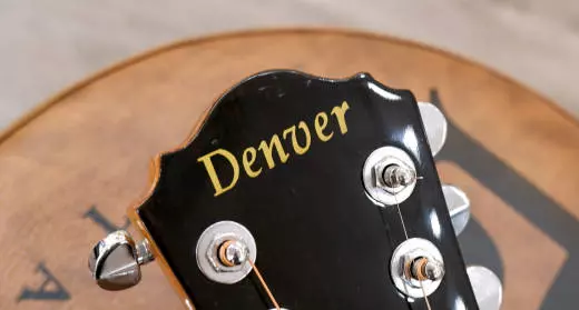 Denver - 12 String Steel Acoustic - Natural 2